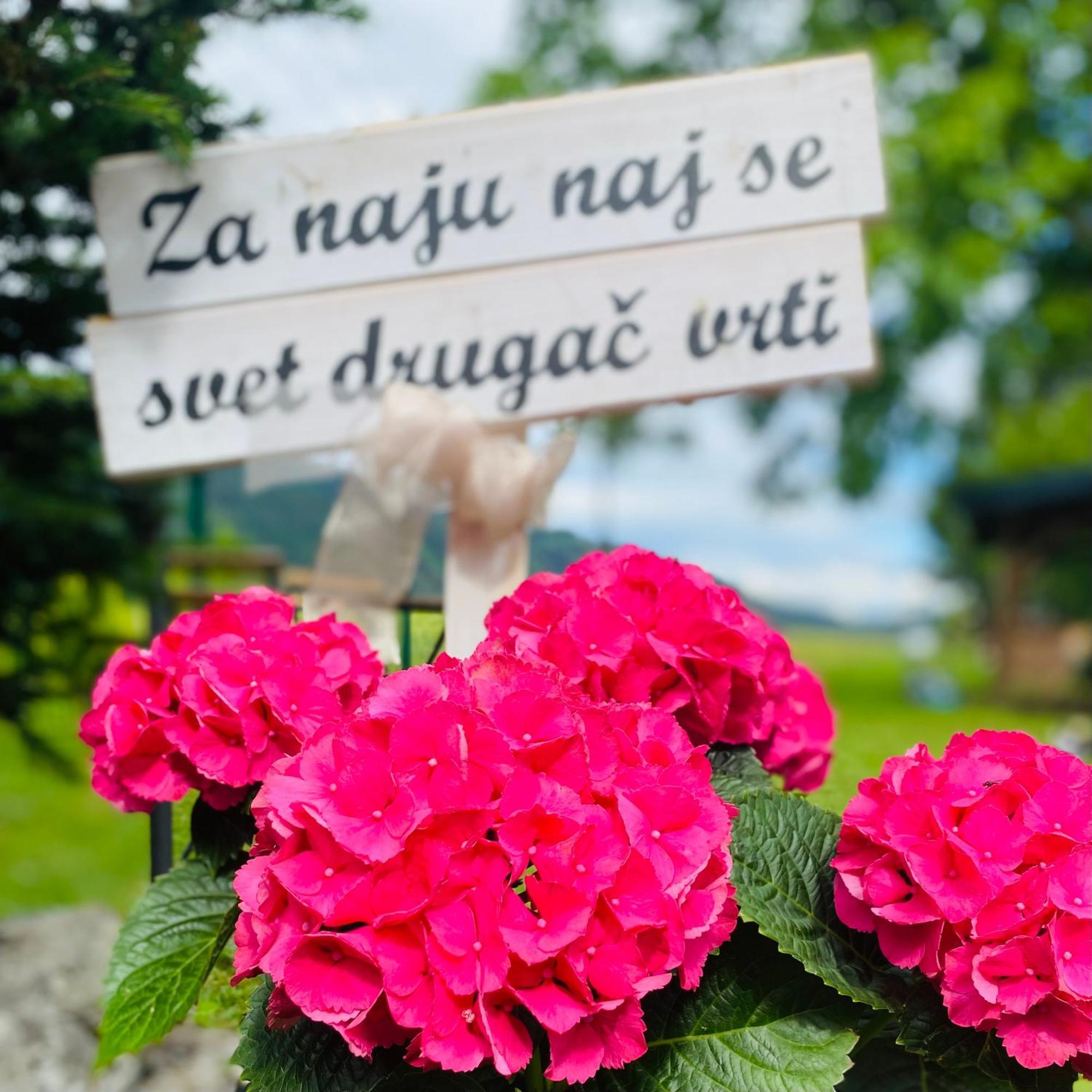 Rooms & Apartment Zala Airport Shuttle Option Cerklje na Gorenjskem Zewnętrze zdjęcie