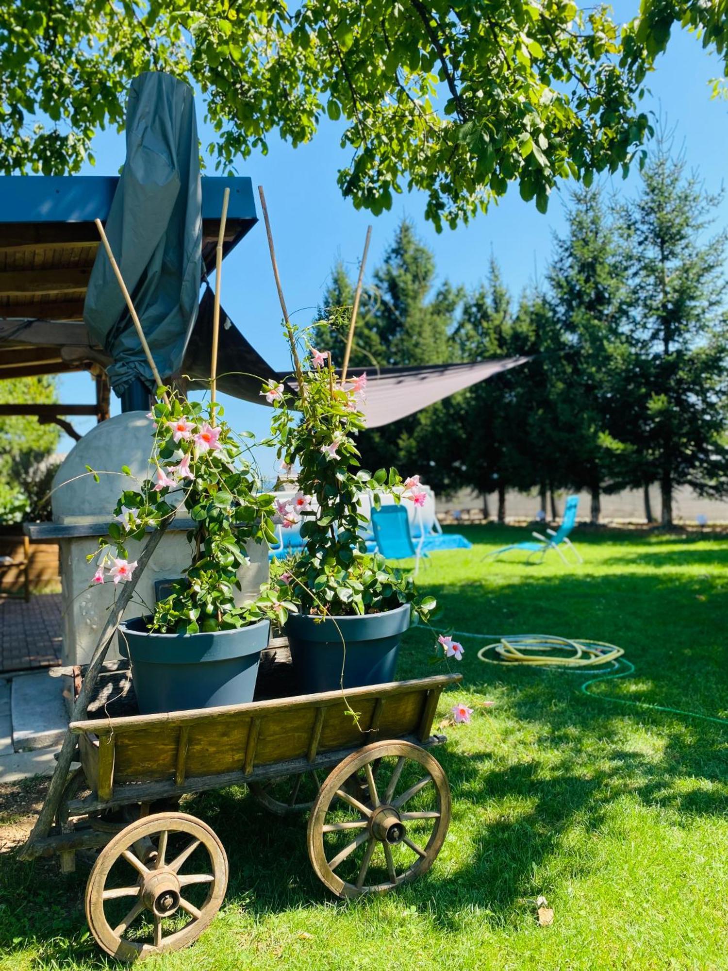 Rooms & Apartment Zala Airport Shuttle Option Cerklje na Gorenjskem Zewnętrze zdjęcie