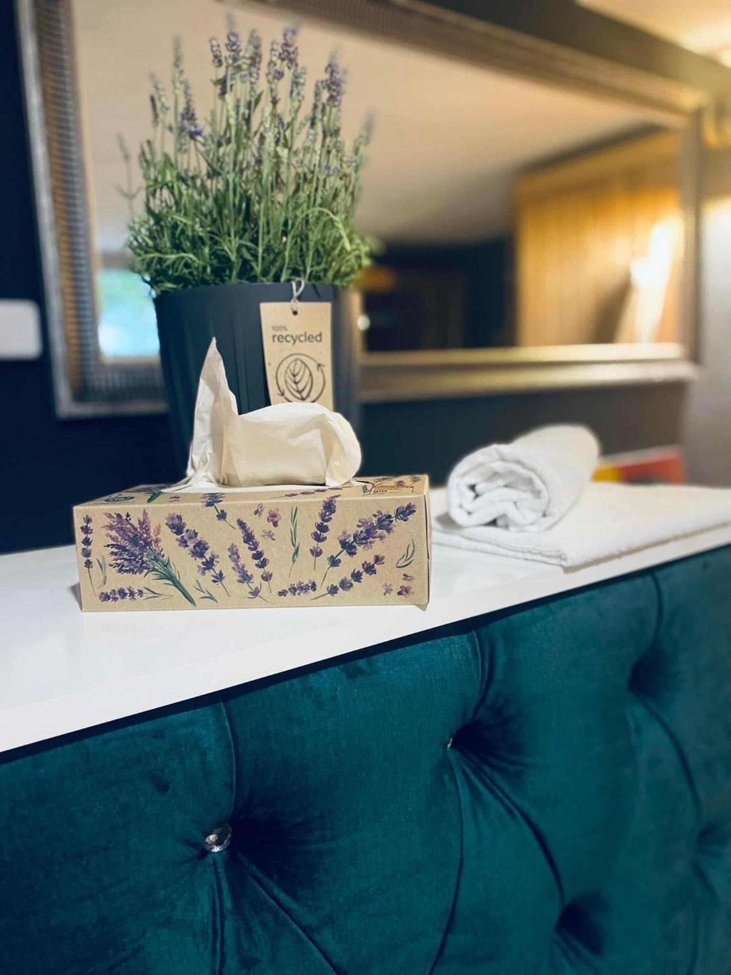 Rooms & Apartment Zala Airport Shuttle Option Cerklje na Gorenjskem Zewnętrze zdjęcie